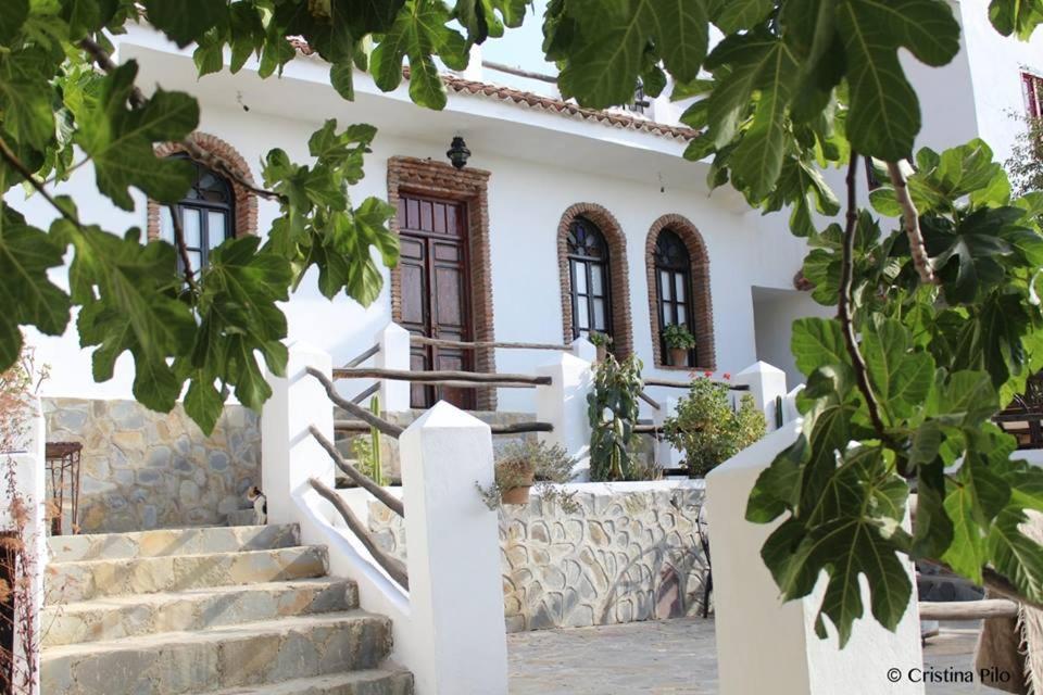 Dar Wadada Hotel Chefchaouen Buitenkant foto